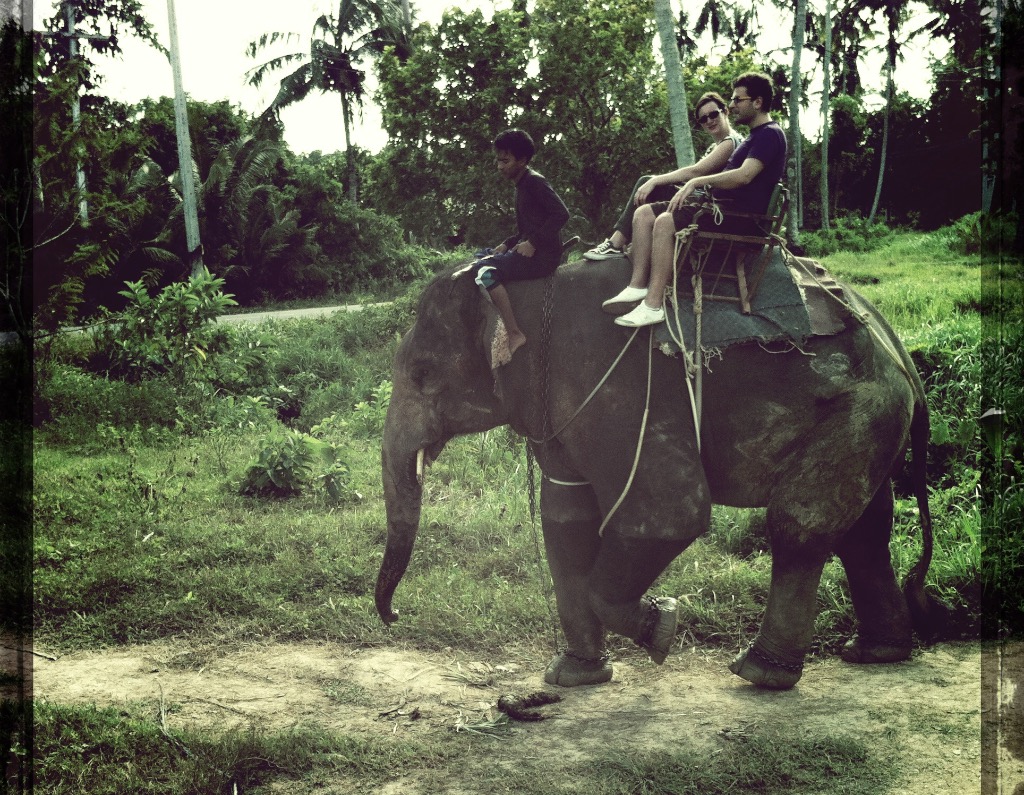 Elefanttur i Thailand