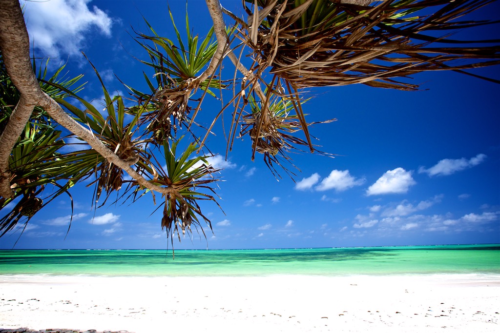 Rejseguide_de bedste strande på Zanzibar