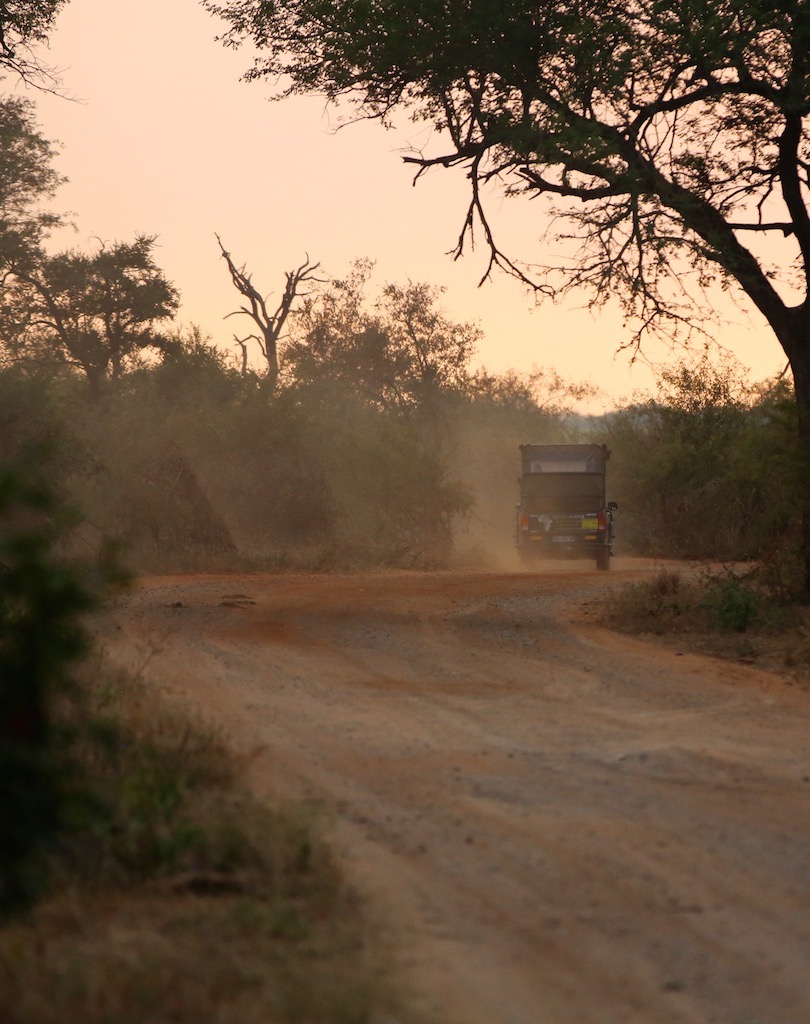 Safari i Sydafrika