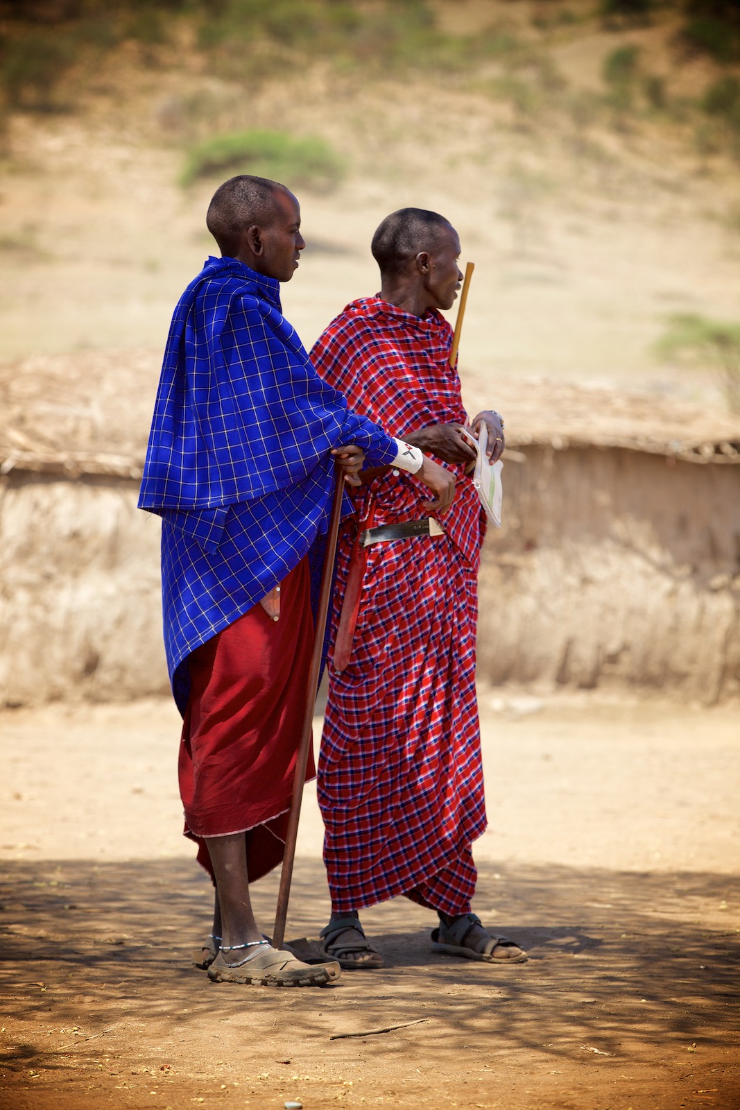 Masai nomadefolk