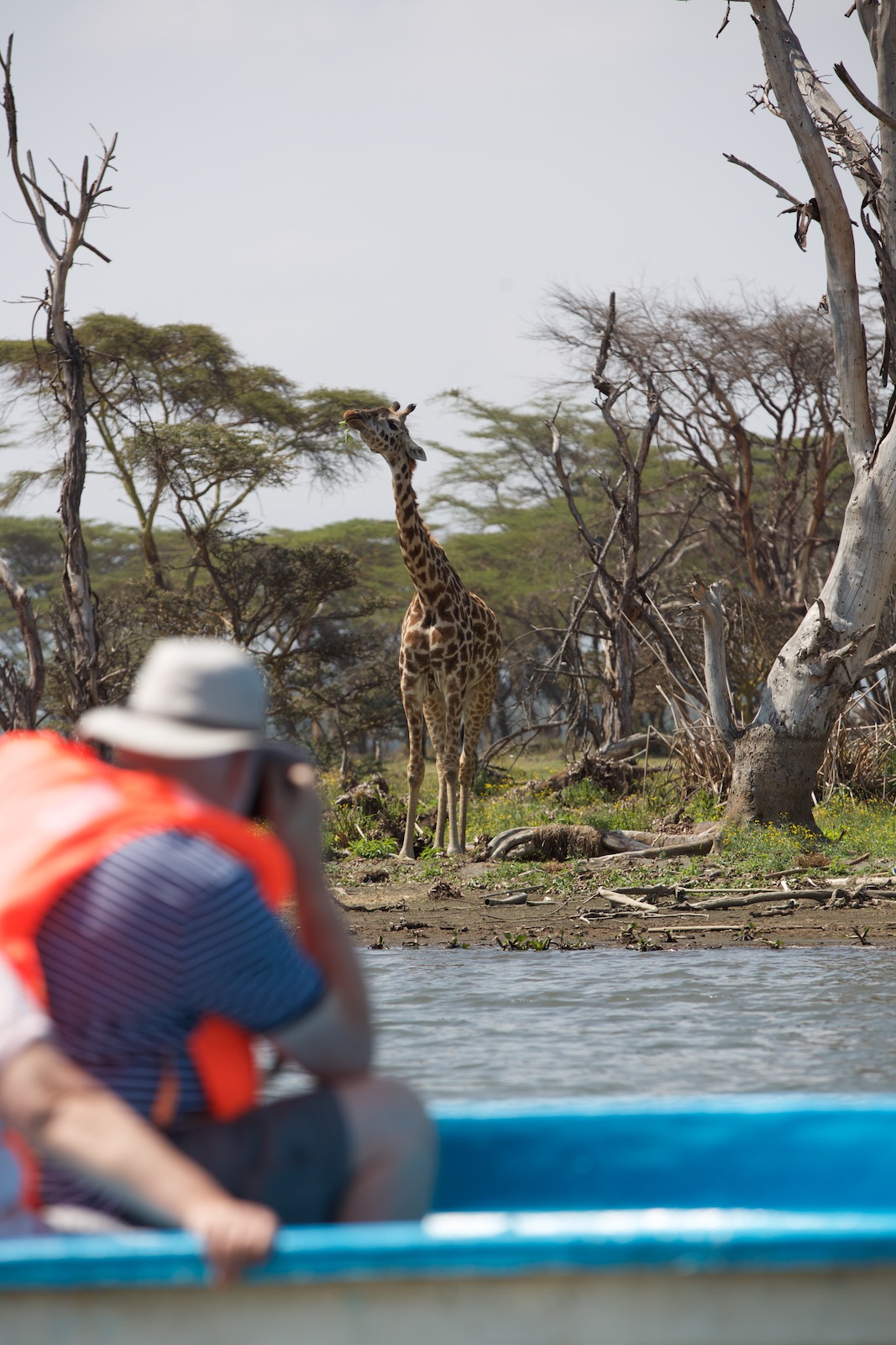 Safari Lake Naivasha Kenya