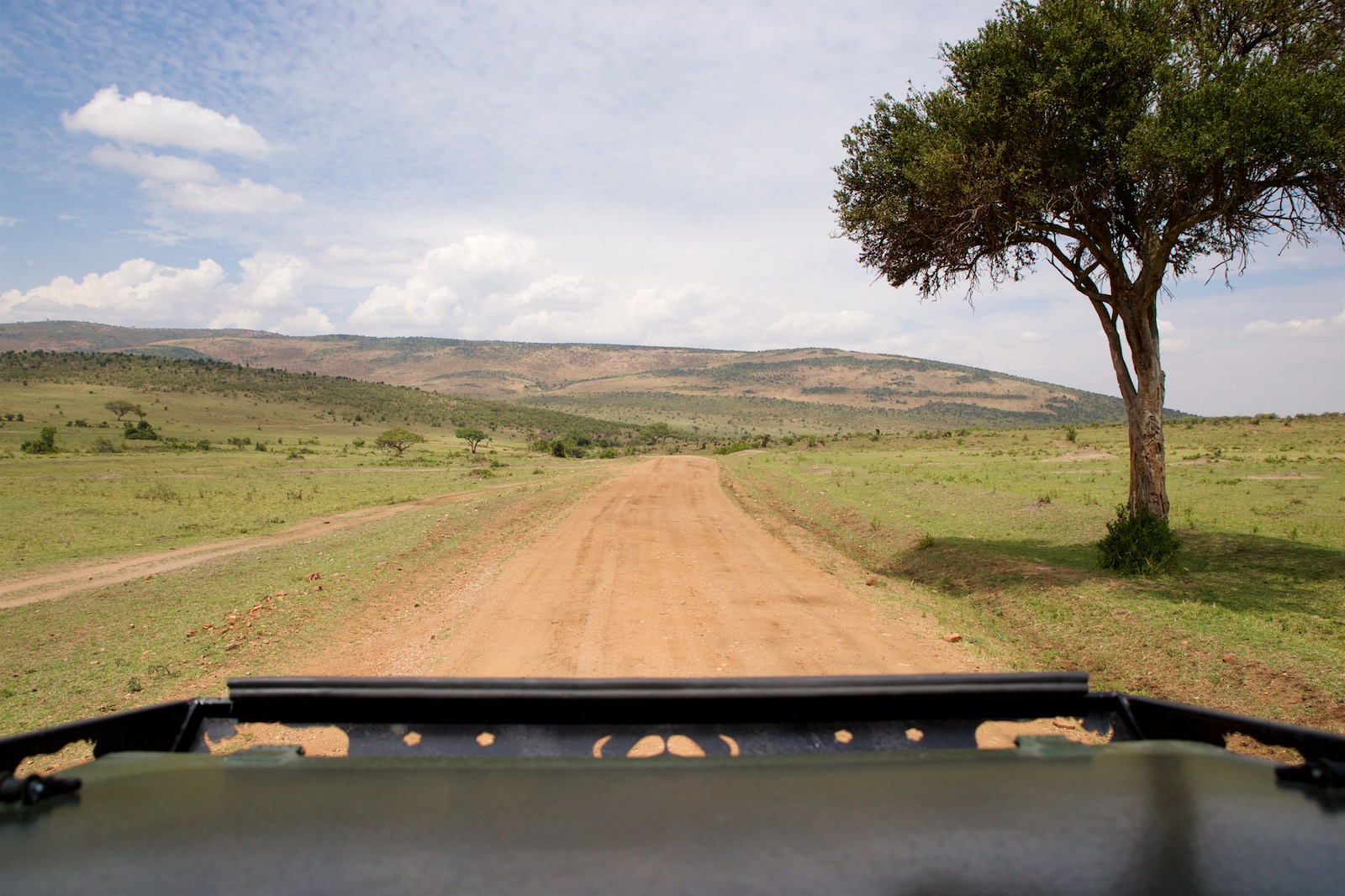 Safari Masai Mara
